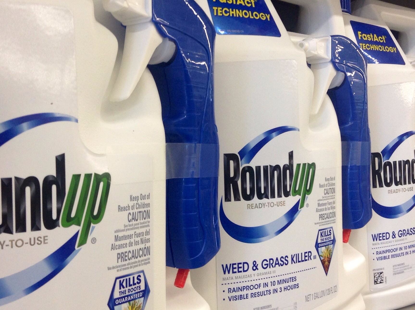 European Union Declines Relicensing of Monsanto Roundup